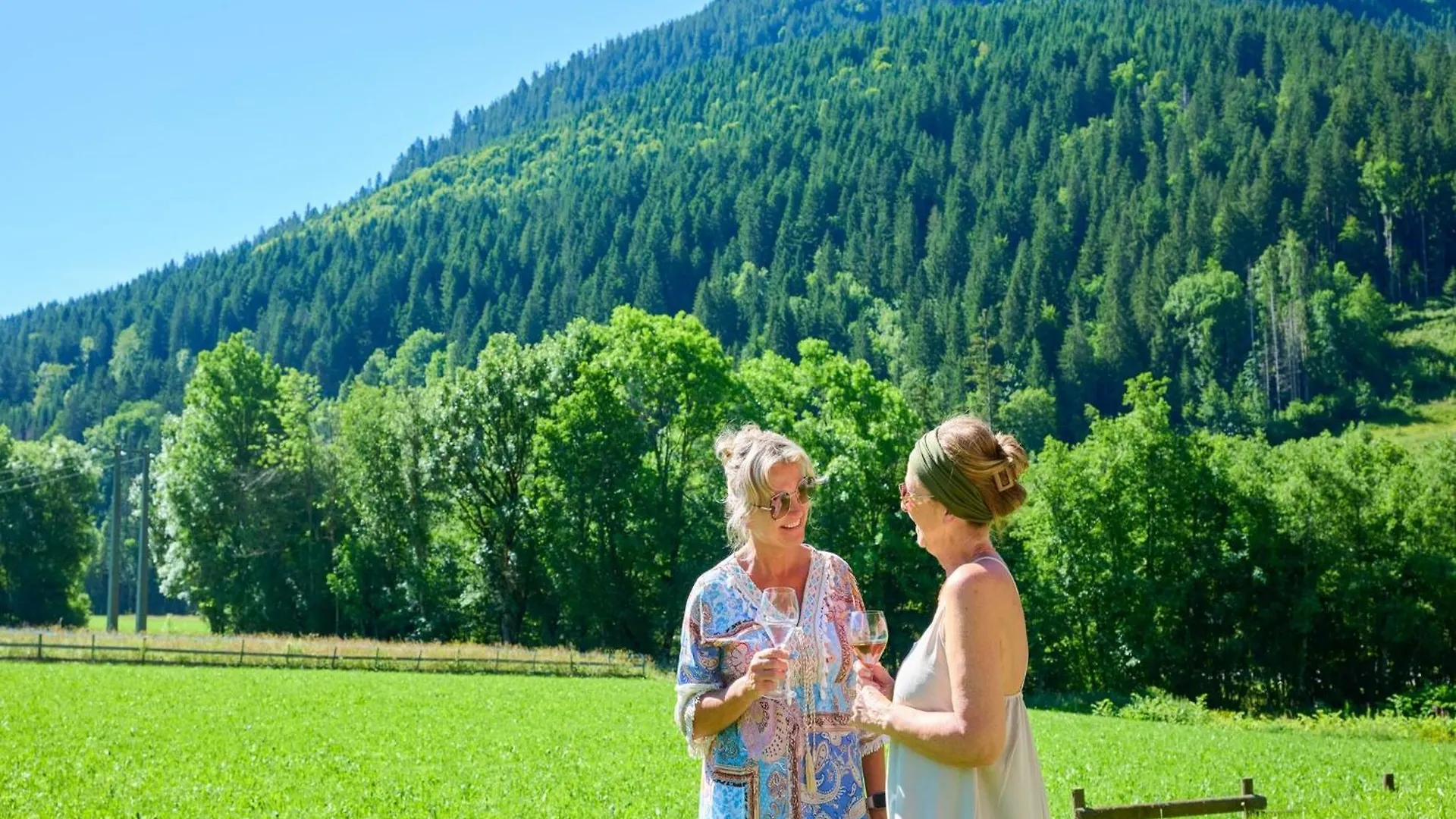 Apartment With Private Sauna In Upper Savoy Abondance